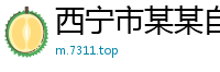 西宁市某某自动化科技经销部